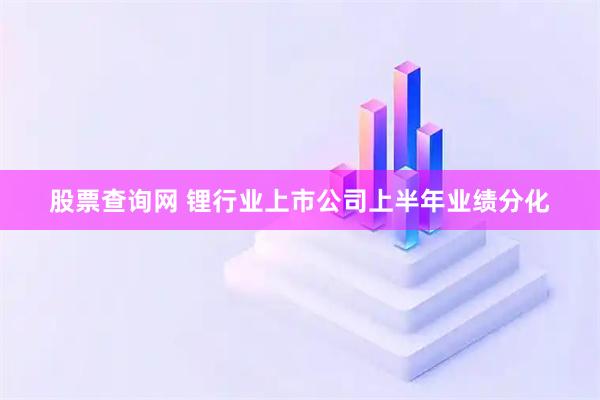 股票查询网 锂行业上市公司上半年业绩分化