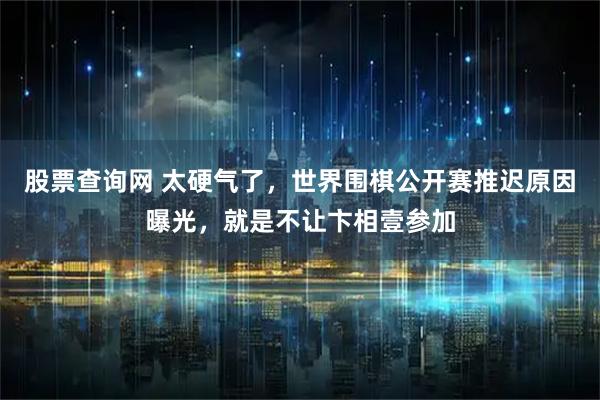 股票查询网 太硬气了，世界围棋公开赛推迟原因曝光，就是不让卞相壹参加