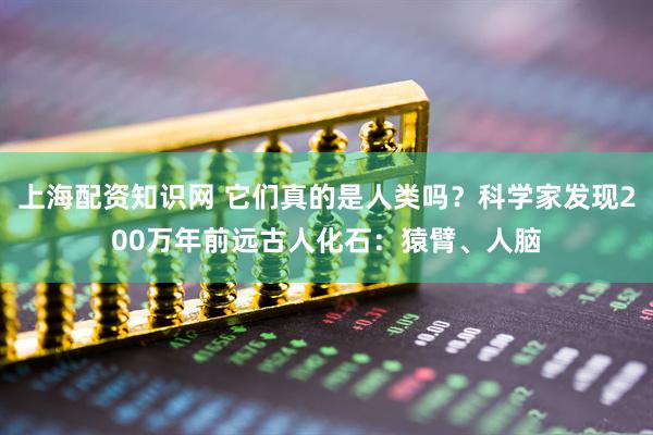 上海配资知识网 它们真的是人类吗？科学家发现200万年前远古人化石：猿臂、人脑